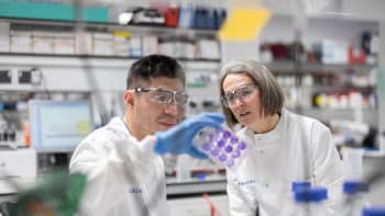 Two scientists examine a microplate in a virology laboratory.