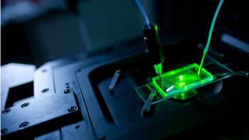 Microfluidic in vitro synthetic biology platform for efficient production of chemicals, pictured in a laboratory with a green laser lighting it.