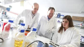 Three researchers working in a laboratory.