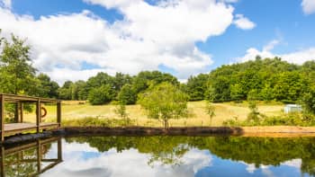 A river and grassy bank.